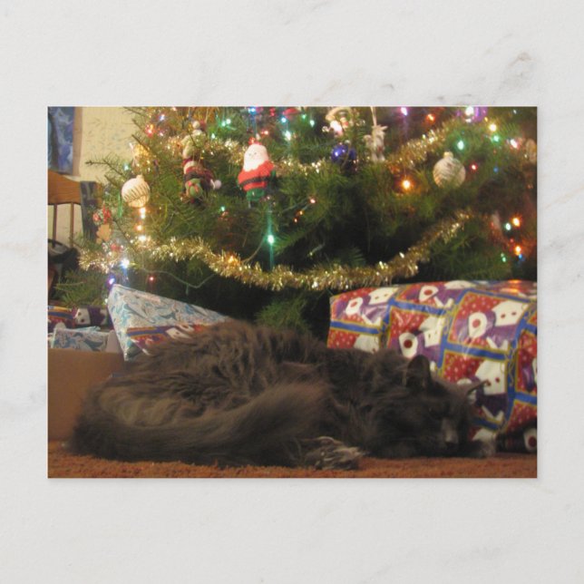 Christmas Cat Holiday Postcard (Front)
