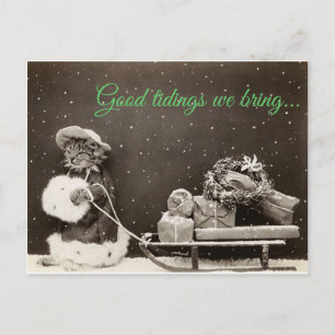 Christmas Cat Holiday Postcard