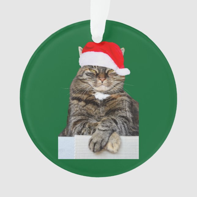 Christmas Cat Humbug Photo Circle Ornament (Front)