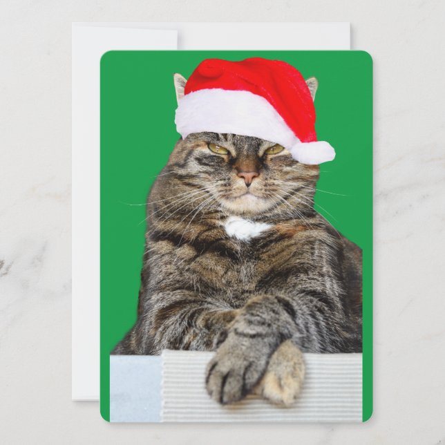Christmas Cat Humbug Photo with Santa Hat Holiday Card (Front)
