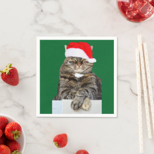 Christmas Cat Humbug Photo with Santa Hat Napkin