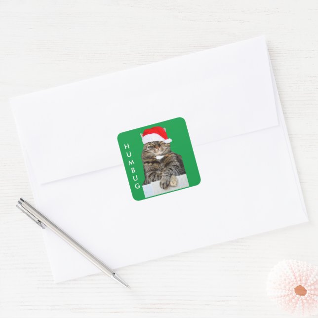 Christmas Cat Humbug Photo with Santa Hat Square Sticker (Envelope)