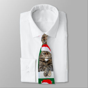 Christmas Cat Humbug Photo with Santa Hat Tie