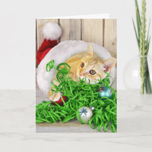 Christmas cat in hat holiday card