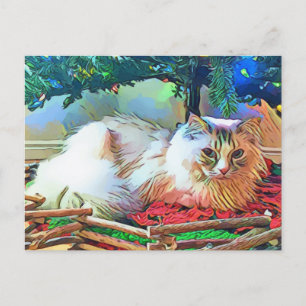 christmas cat postcard