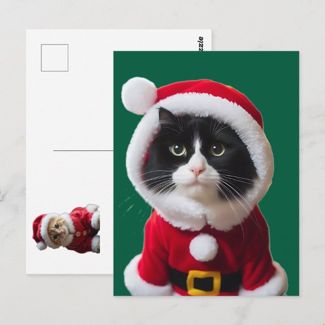 Christmas cat postcard (Front/Back)