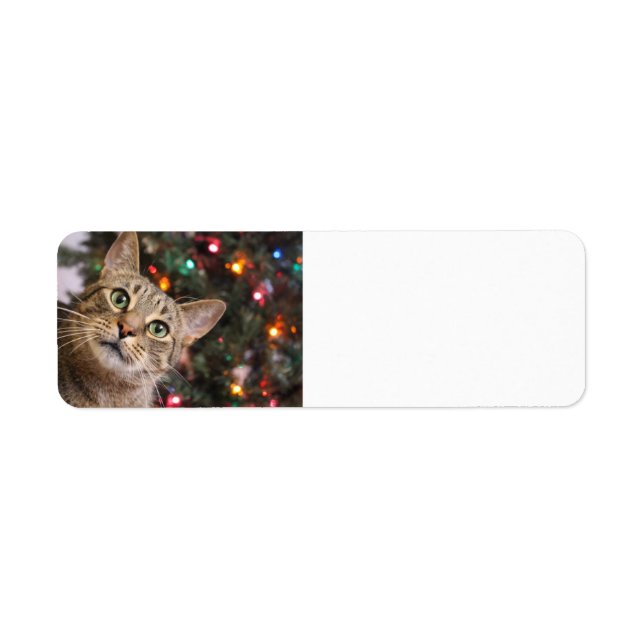 Christmas Cat Return Labels (Front)