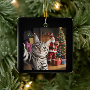 Christmas Cat Selfie with Santa Claus Cute Holiday Ceramic Ornament