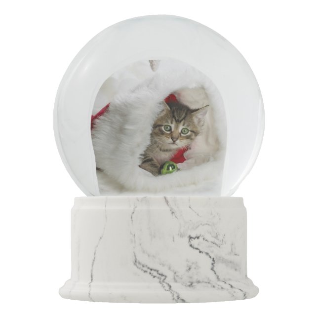 Christmas Cat Snow Globe (Front)