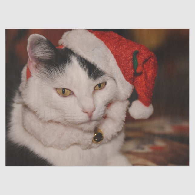 Christmas cat tissue paper (Front)