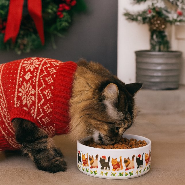 Christmas Cat Trio with Holly Trail Bowl (Capture the spirit of the season where pets are part of the celebration.)