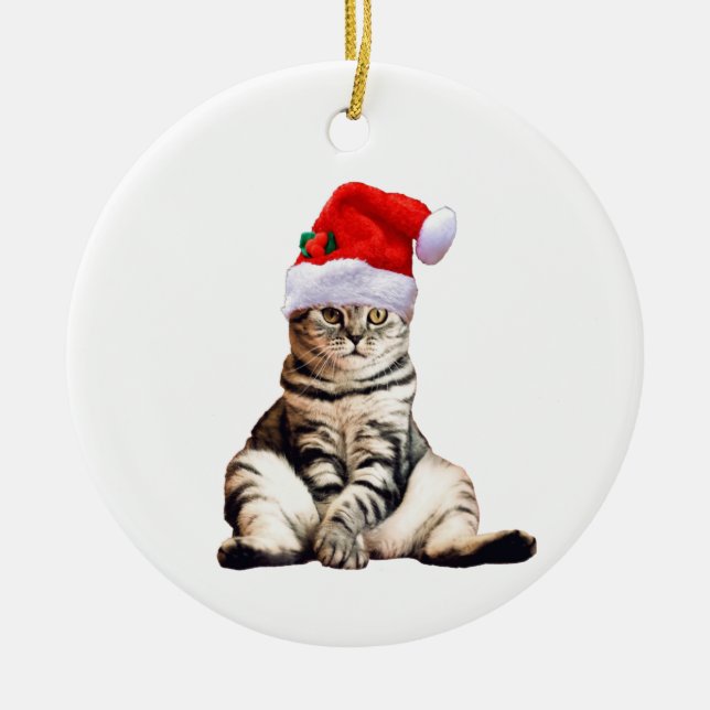Christmas Cat With Santa Hat Ceramic Ornament (Front)