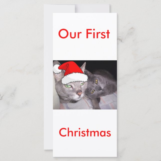 Christmas Cats (Front)