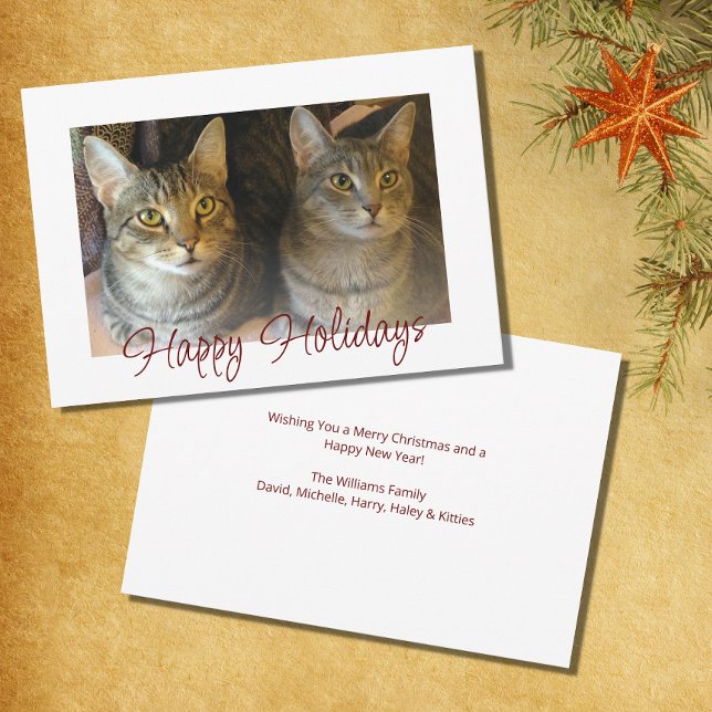 Christmas Cats Cute Festive Red Script     Holiday Card (Creator Uploaded)