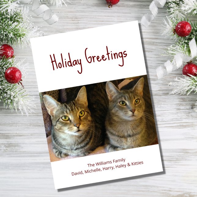 Christmas Cats Cute Festive Red Typography  Holiday Card (Creator Uploaded)