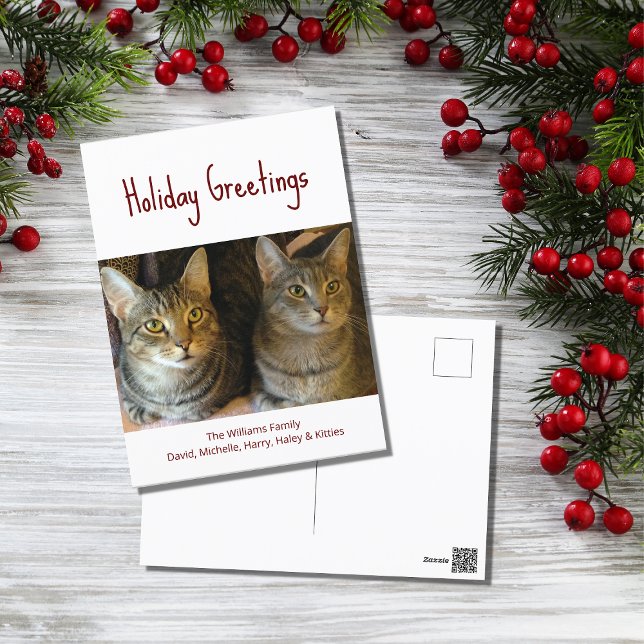 Christmas Cats Cute Festive Red Typography   Holiday Postcard (Creator Uploaded)