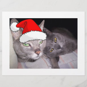 Christmas Cats Flyer