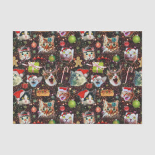 Christmas Cats in Space Galaxy Stars Funny Holiday Tissue Paper