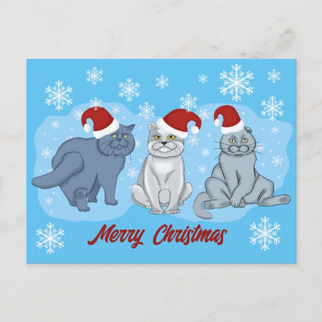 Christmas cats Merry Christmas Holiday Postcard (Front)