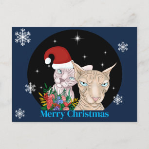 Christmas Cats under the starry sky Postcard