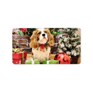 Christmas - Cavalier King Charles Spaniel Maverick Label
