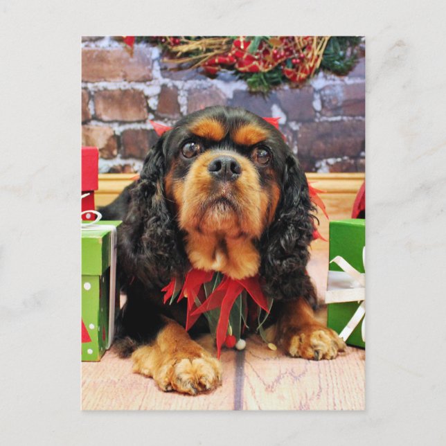 Christmas - Cavalier King Charles Spaniel SweetPea Holiday Postcard (Front)