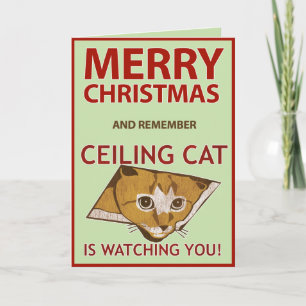 Christmas Ceiling Cat Card