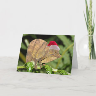 Christmas Chameleon Holiday Card