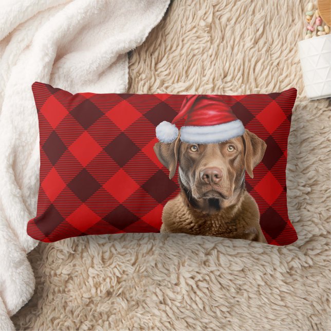 Christmas Chesapeake Bay Dog Festive Plaid Lumbar Pillow (Blanket)