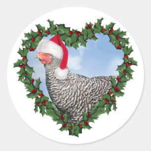 Christmas Chicken * Barred Rock Classic Round Sticker