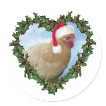 Christmas Chicken *  Buff Orpington