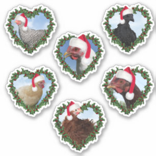 Christmas Chickens