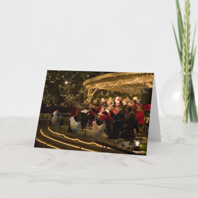 Christmas Chickens 2 Holiday Card (Front)