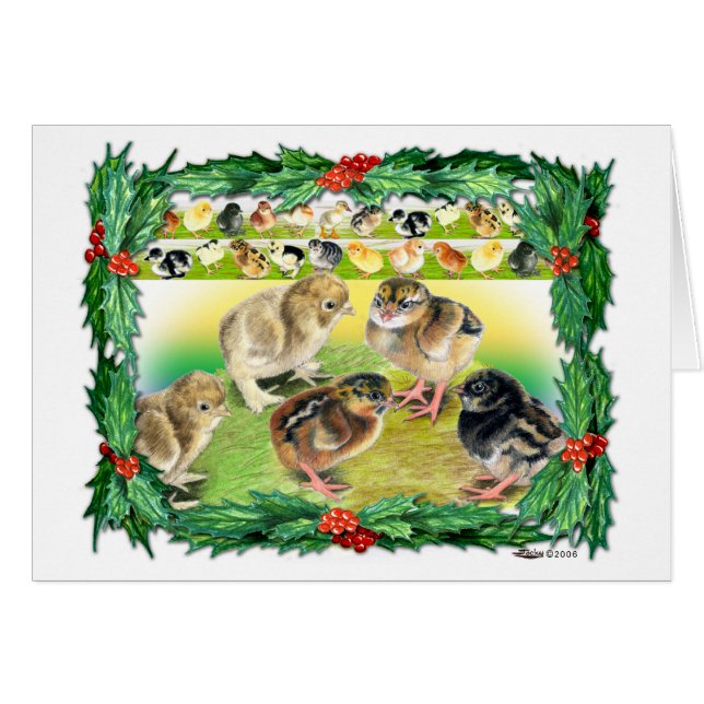 Christmas Chicks (Front Horizontal)