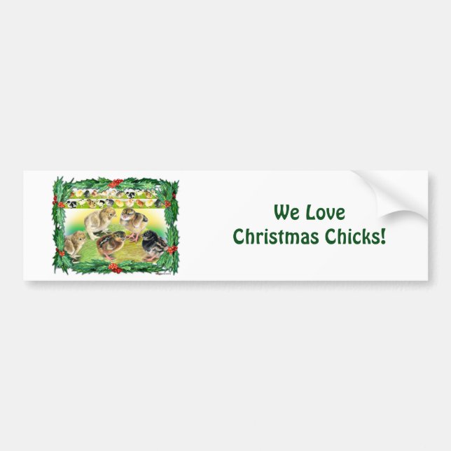 Christmas Chicks Bumper Sticker (Front)