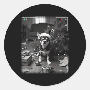 Christmas Chihuahua Caught On Camera  Classic Round Sticker