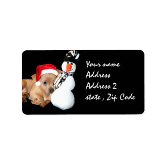 Christmas Chihuahua Label