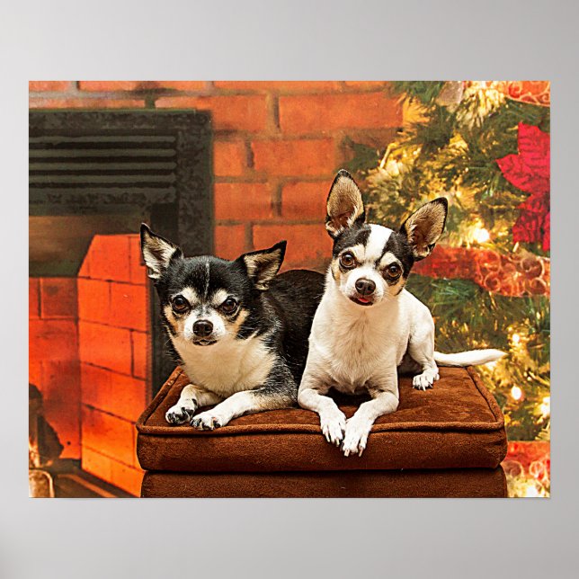 Christmas Chihuahua’s Poster (Front)