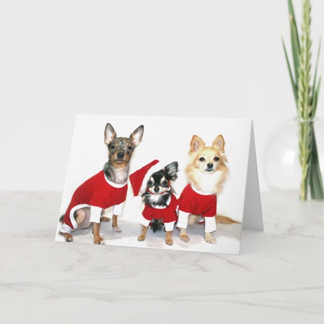 Christmas Chihuahuas Holiday Card (Front)