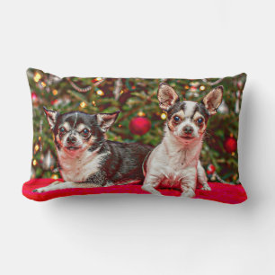 Christmas Chihuahua's Lumbar Pillow