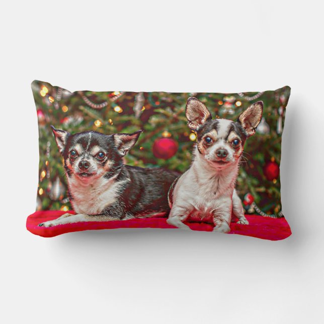 Christmas Chihuahua's Lumbar Pillow (Front)