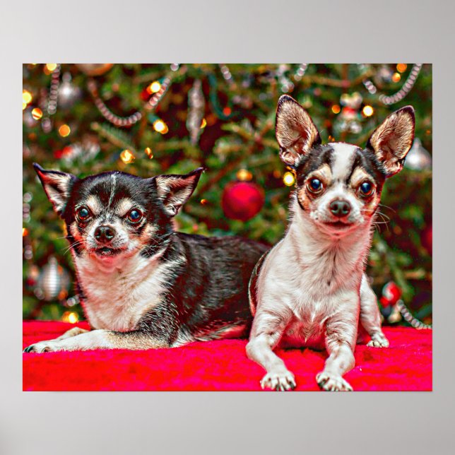 Christmas Chihuahua's Poster (Front)