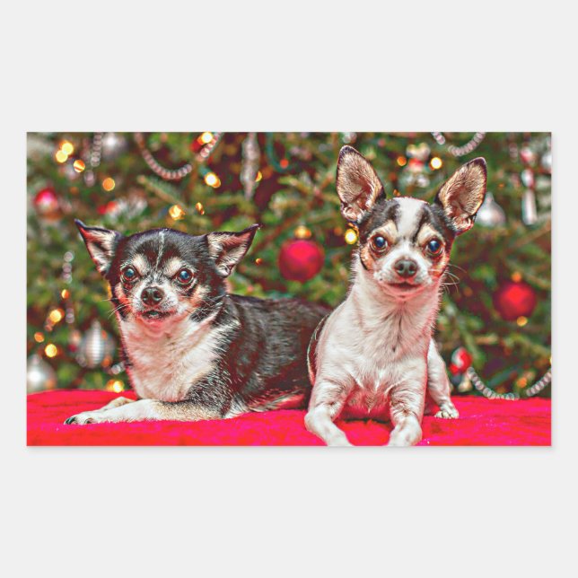 Christmas Chihuahua's Sticker (Front)