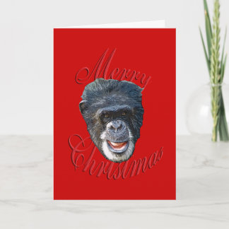 Christmas Chimpanzee Holiday Card