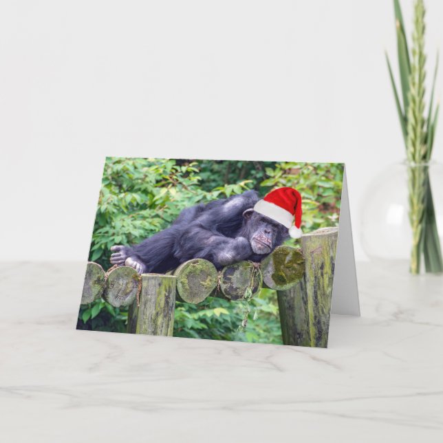 Christmas Chimpanzee with a Santa Hat Card (Front)