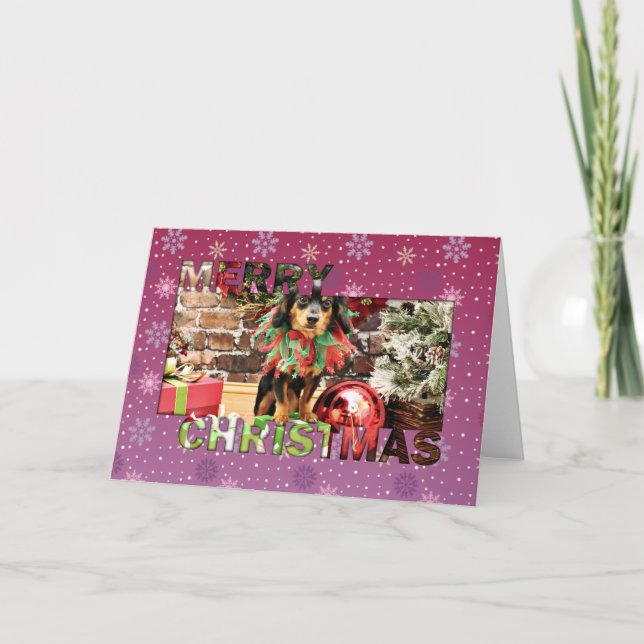 Christmas - Chiweenie - Titus Holiday Card (Front)