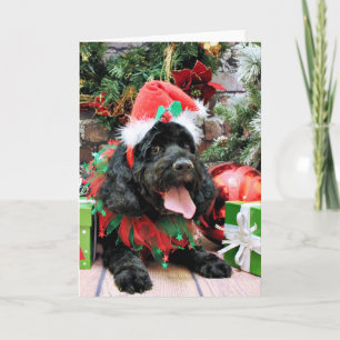 Christmas - Cockapoo - Jack Holiday Card