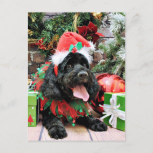 Christmas - Cockapoo - Jack Holiday Postcard
