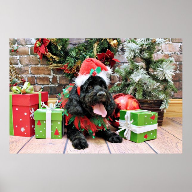 Christmas - Cockapoo - Jack Poster (Front)