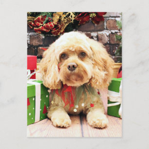 Christmas - Cockapoo - Morgan Holiday Postcard